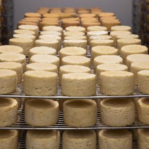 Les recettes avec du fromage
